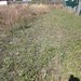 Teren intravilan industrial, in Domnesti, langa Centura Bucuresti